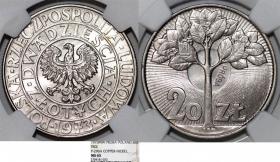 Obrazek dla: 20 złotych 1973 drzewo próba GRADING NGC