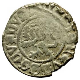 Obrazek dla: Halerz Władysław II Jagiellończyk Czechy