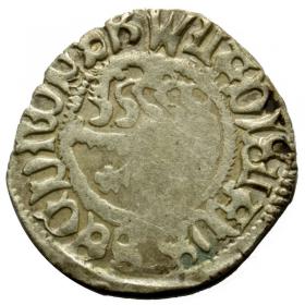 Obrazek dla: Halerz Władysław II Jagiellończyk Czechy