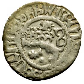 Obrazek dla: Halerz Władysław II Jagiellończyk Czechy