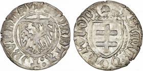 Obrazek dla: Szeląg Kazimierz Jagiellończyk Toruń