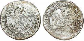 Obrazek dla: Półgrosz 1559 Zygmunt August Wilno