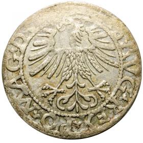 Obrazek 2 dla: Półgrosz 1562 Zygmunt August Wilno