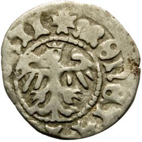 Obrazek 2 dla: Półgrosz Jan Olbracht Kraków