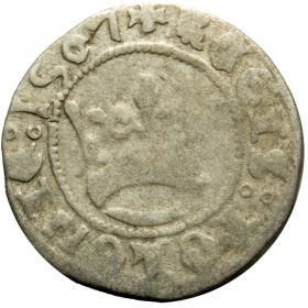 Obrazek dla: Półgrosz 1507 Zygmunt I Stary Kraków