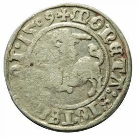 Obrazek dla: Półgrosz 1509 Zygmunt I Stary Wilno