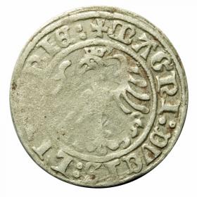 Obrazek 2 dla: Półgrosz 1509 Zygmunt I Stary Wilno