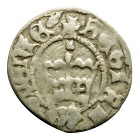 Obrazek dla: Półgrosz Jan Olbracht Kraków