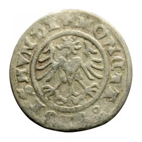 Obrazek 2 dla: Półgrosz 1509 Zygmunt I Stary Kraków