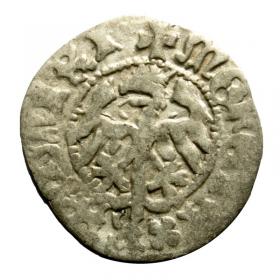 Obrazek 2 dla: Półgrosz Kazimierz Jagiellończyk Kraków