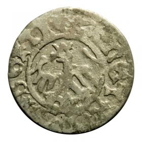 Obrazek 2 dla: Półgrosz Jan Olbracht Kraków