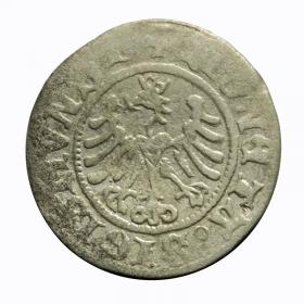 Obrazek dla: Półgrosz 1507 Zygmunt I Stary Kraków