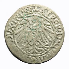 Obrazek 2 dla: Grosz 1545 Albrecht Hohenzollern Księstwo Pruskie Królewiec