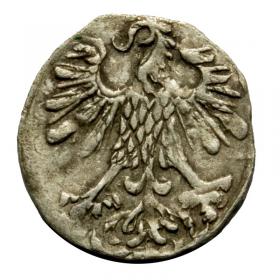 Obrazek 2 dla: Denar 1556 Zygmunt II August Wilno