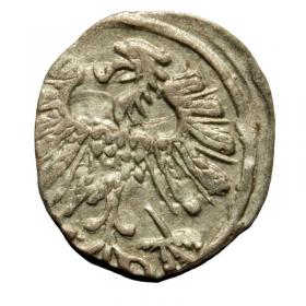 Obrazek 2 dla: Denar 1558 Zygmunt II August Wilno