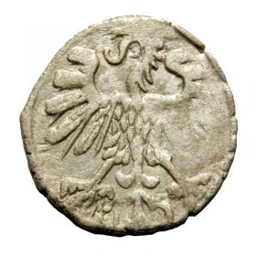 Obrazek 2 dla: Denar 1559 Zygmunt II August Wilno