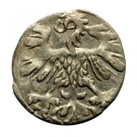 Obrazek 2 dla: Denar 1559 Zygmunt II August Wilno