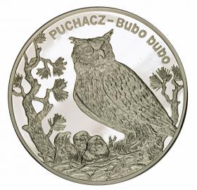 Obrazek dla: 20 zł 2005 Puchacz