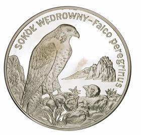 Obrazek dla: 20 zł 2008 Sokół