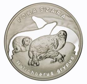 Obrazek dla: 20 zł 2007 Foka Szara