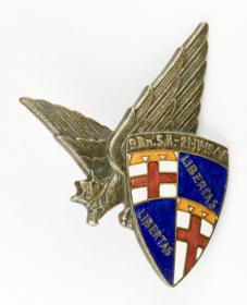 Obrazek dla: Odznaka pamiątkowa 9 Batalion Strzelców Karpackich