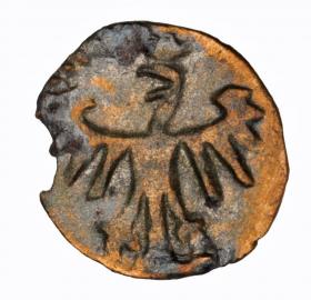 Obrazek 2 dla: Denar Kazimierz Jagiellończyk Jan Olbracht Kraków