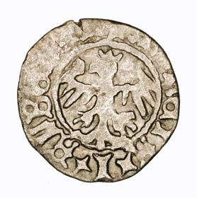 Obrazek 2 dla: Półgrosz Jan Olbracht Kraków