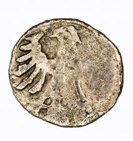 Obrazek 2 dla: Denar Aleksander Jagiellończyk Wilno