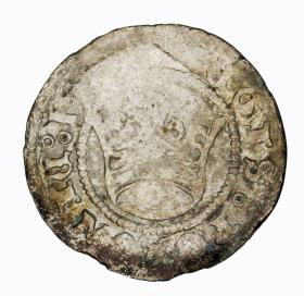 Obrazek dla: Półgrosz Zygmunt I Stary Kraków