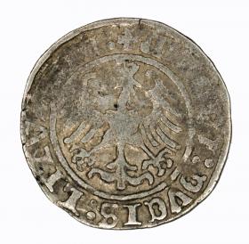 Obrazek 2 dla: Półgrosz Zygmunt I Stary Wilno