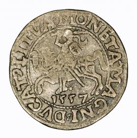 Obrazek dla: Półgrosz 1557 Zygmunt II August Wilno