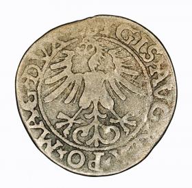 Obrazek 2 dla: Półgrosz 1561 Zygmunt II August Wilno