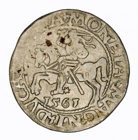 Obrazek dla: Półgrosz 1561 Zygmunt II August Wilno