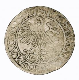 Obrazek 2 dla: Półgrosz 1561 Zygmunt II August Wilno