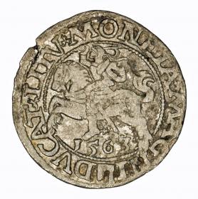 Obrazek dla: Półgrosz 1563 Zygmunt II August Wilno