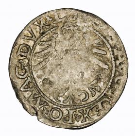 Obrazek 2 dla: Półgrosz 1563 Zygmunt II August Wilno