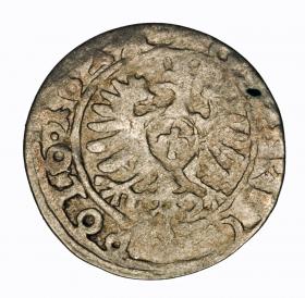 Obrazek 2 dla: Grosz 1624 Zygmunt III Waza Kraków