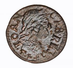 Obrazek dla: Szeląg 1665 Jan Kazimierz Wilno