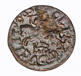 Obrazek 2 dla: Szeląg 1665 Jan Kazimierz Wilno