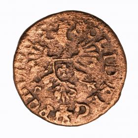 Obrazek 2 dla: Szeląg 1665 Jan Kazimierz Ujazdów