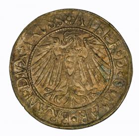 Obrazek 2 dla: Grosz 1539 Albrecht Hohenzollern Księstwo Pruskie Królewiec