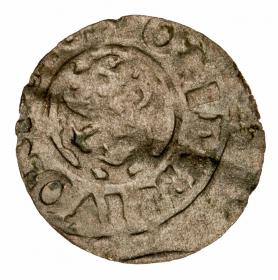 Obrazek 2 dla: Szeląg Krystyna Waza Liwonia