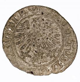 Obrazek 2 dla: Szeląg 1559 Albrecht Hohenzollern Księstwo Pruskie Królewiec