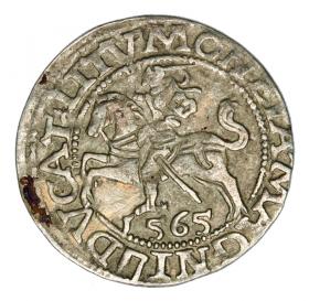 Obrazek dla: Półgrosz 1565 Zygmunt II August Litwa Wilno