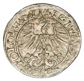 Obrazek 2 dla: Półgrosz 1564 Zygmunt II August Litwa Wilno