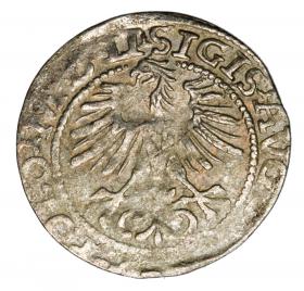 Obrazek 2 dla: Półgrosz 1564 Zygmunt II August Litwa Wilno