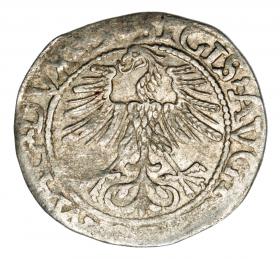 Obrazek 2 dla: Półgrosz 1562 Zygmunt II August Litwa Wilno