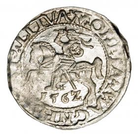 Obrazek dla: Półgrosz 1562 Zygmunt II August Litwa Wilno