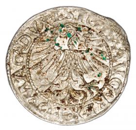 Obrazek 2 dla: Półgrosz 1562 Zygmunt II August Litwa Wilno