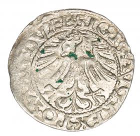 Obrazek 2 dla: Półgrosz 1562 Zygmunt II August Litwa Wilno